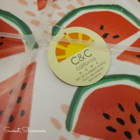4PC set Watermelon C&C California Home Melamine 11" Dinner Plates New - Picture 3 of 4